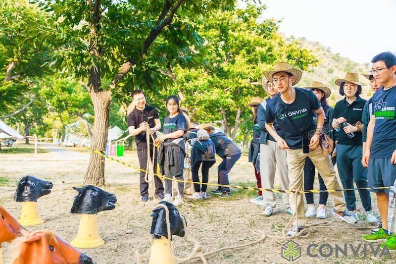 半日行程 · 14:00 牛仔很忙主题活动 · 6-2
